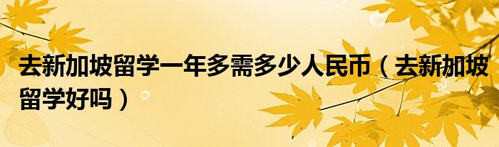 去新加坡留学一年多需多少人民币（去新加坡留学好吗）