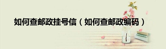 如何查邮政挂号信（如何查邮政编码）