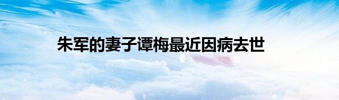 朱军的妻子谭梅最近因病去世