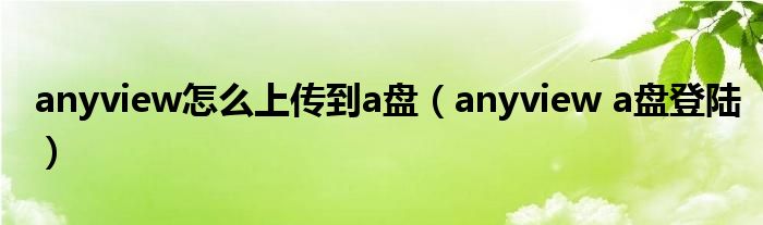 anyview怎么上传到a盘（anyview a盘登陆）