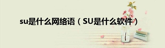 su是什么网络语（SU是什么软件）