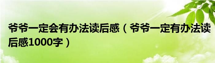 爷爷一定会有办法读后感（爷爷一定有办法读后感1000字）