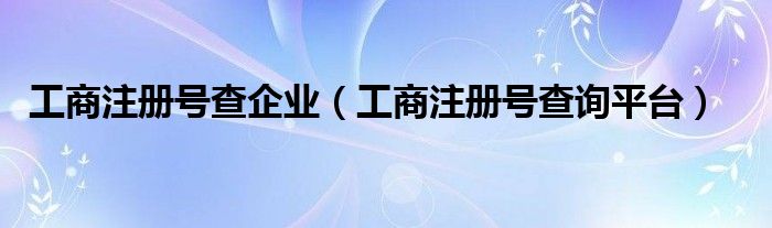 工商注册号查企业（工商注册号查询平台）