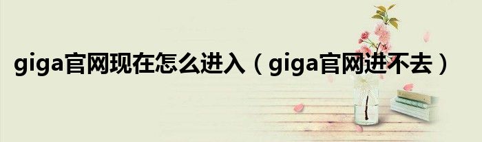 giga官网现在怎么进入（giga官网进不去）