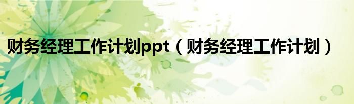 财务经理工作计划ppt（财务经理工作计划）