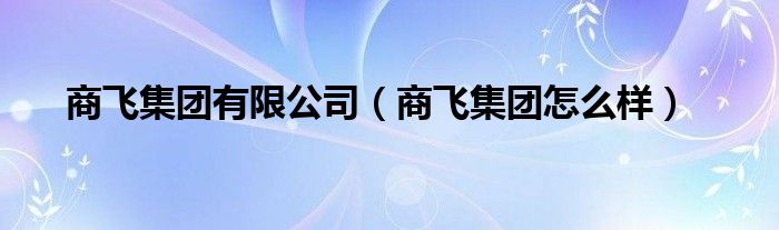 商飞集团有限公司（商飞集团怎么样）