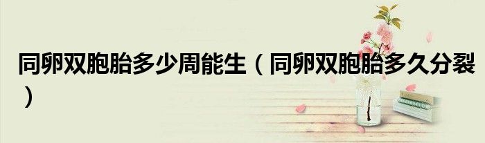同卵双胞胎多少周能生（同卵双胞胎多久分裂）