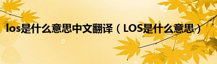 los是什么意思中文翻译（LOS是什么意思）