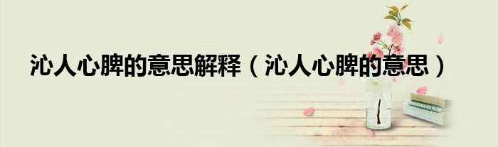 沁人心脾的意思解释（沁人心脾的意思）
