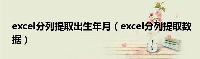 excel分列提取出生年月（excel分列提取数据）