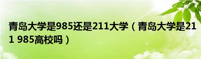青岛大学是985还是211大学（青岛大学是211 985高校吗）