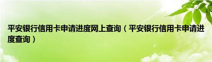 平安银行信用卡申请进度网上查询(平安银行信用卡申请进度查询)