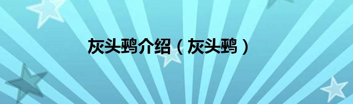 灰头鹀介绍（灰头鹀）
