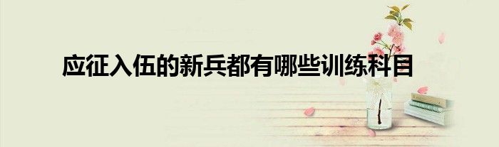 应征入伍的新兵都有哪些训练科目
