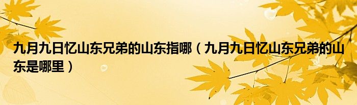 九月九日忆山东兄弟的山东指哪（九月九日忆山东兄弟的山东是哪里）