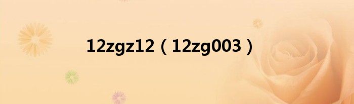 12zgz12（12zg003）