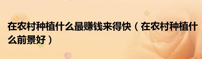 在农村种植什么最赚钱来得快(在农村种植什么前景好)