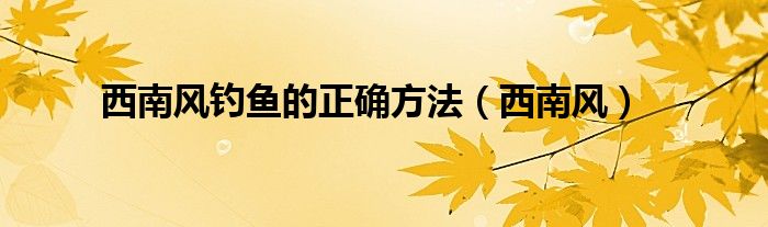 西南风钓鱼的正确方法（西南风）