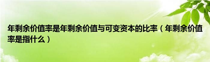 年剩余价值率是年剩余价值与可变资本的比率（年剩余价值率是指什么）