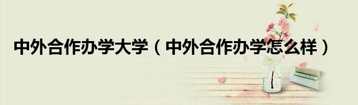 中外合作办学大学(中外合作办学怎么样)