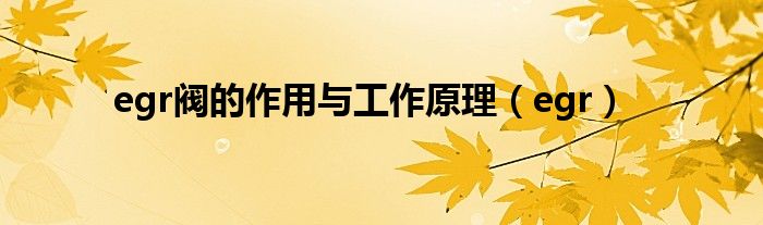 egr阀的作用与工作原理(egr)