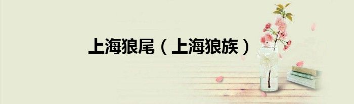 上海狼尾(上海狼族)