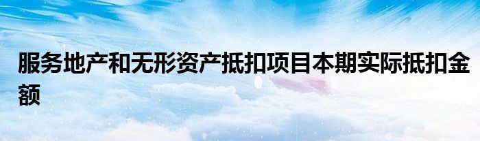 服务地产和无形资产抵扣项目本期实际抵扣金额