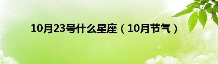 10月23号什么星座（10月节气）