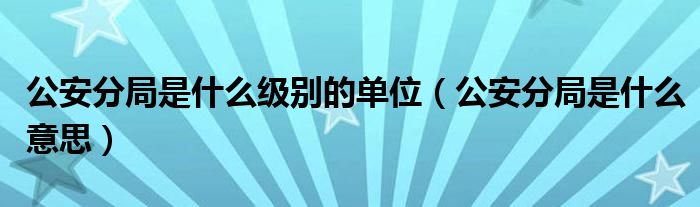 公安分局是什么级别的单位（公安分局是什么意思）