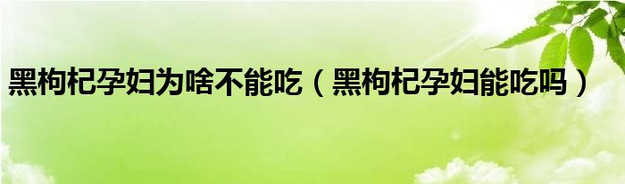 黑枸杞孕妇为啥不能吃（黑枸杞孕妇能吃吗）