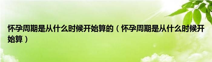 怀孕周期是从什么时候开始算的（怀孕周期是从什么时候开始算）