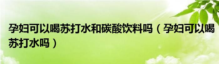 孕妇可以喝苏打水和碳酸饮料吗（孕妇可以喝苏打水吗）