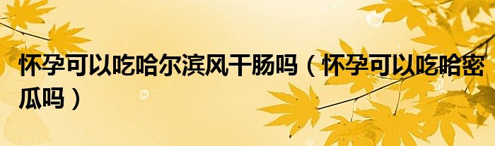 怀孕可以吃哈尔滨风干肠吗（怀孕可以吃哈密瓜吗）