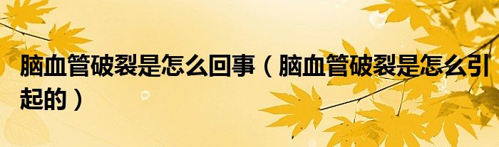 脑血管破裂是怎么回事（脑血管破裂是怎么引起的）