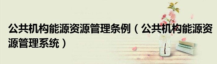 公共机构能源资源管理条例（公共机构能源资源管理系统）