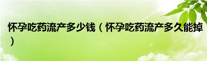怀孕吃药流产多少钱（怀孕吃药流产多久能掉）