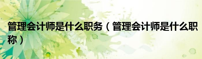 管理会计师是什么职务(管理会计师是什么职称)