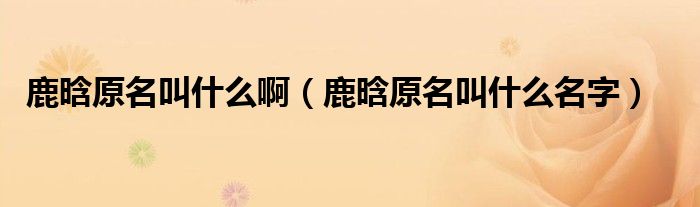 鹿晗原名叫什么啊（鹿晗原名叫什么名字）