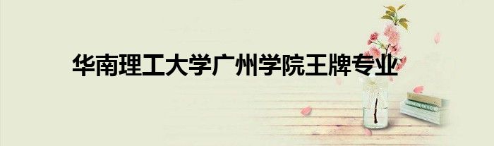 华南理工大学广州学院王牌专业