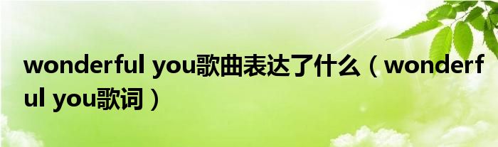 wonderful you歌曲表达了什么（wonderful you歌词）