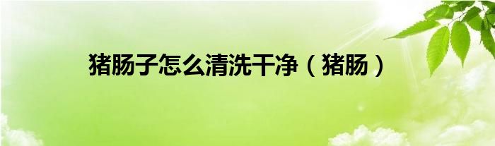 猪肠子怎么清洗干净（猪肠）