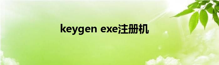 keygen exe注册机