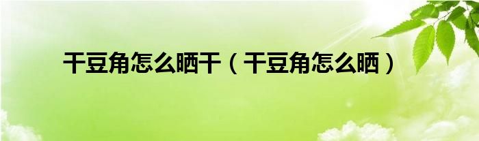 干豆角怎么晒干（干豆角怎么晒）