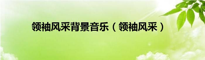 领袖风采背景音乐（领袖风采）