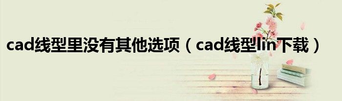 cad线型里没有其他选项（cad线型lin下载）