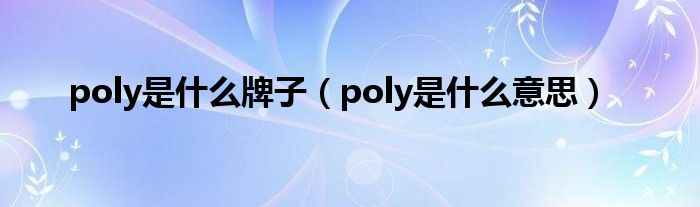 poly是什么牌子（poly是什么意思）