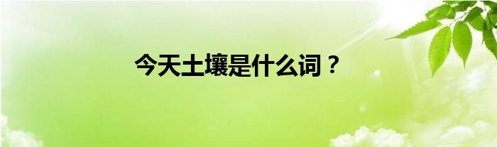 今天土壤是什么词？