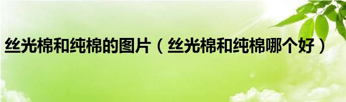 丝光棉和纯棉的图片（丝光棉和纯棉哪个好）