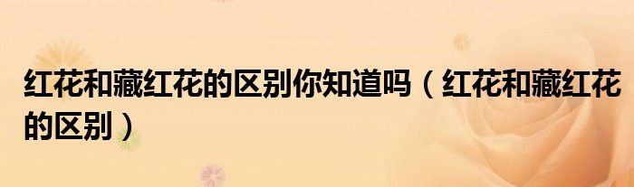 红花和藏红花的区别你知道吗（红花和藏红花的区别）