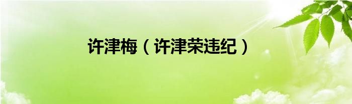 许津梅（许津荣违纪）